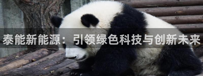 新宝gg老板：泰能新能源：引领绿色科技与