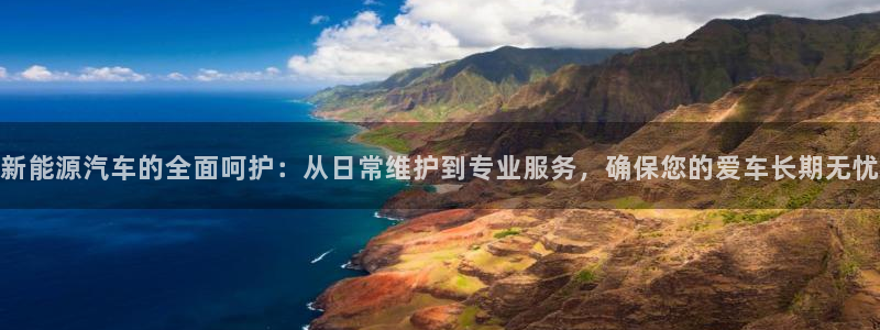 新宝gg返点:新能源汽车的全面呵护:从日常维护到专业服务,确