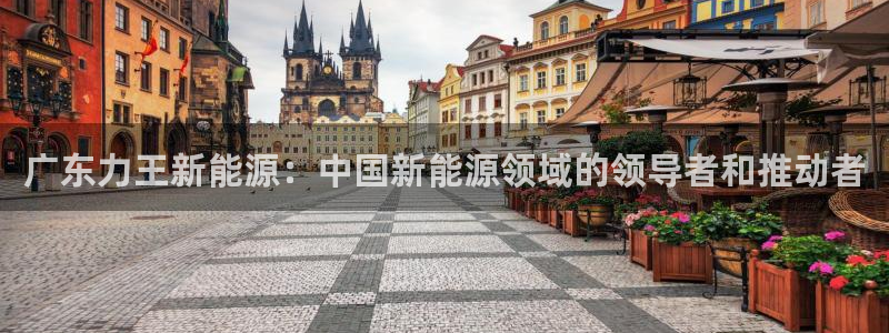 新宝gg创造奇迹 新宝gg:广东力王新能源:中国新能源领域的