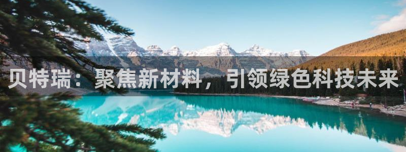 新宝gg.:贝特瑞:聚焦新材料,引领绿色 新宝gg.:贝特瑞:聚焦新材料,引领绿色