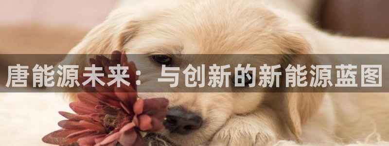 新宝gg手机app:唐能源未来:与创新的新能源蓝图