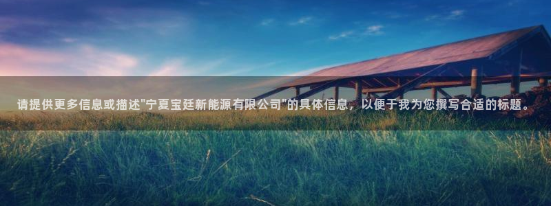 新宝GG绿色:请提供更多信息或描述\"宁夏宝廷新能源有限公司