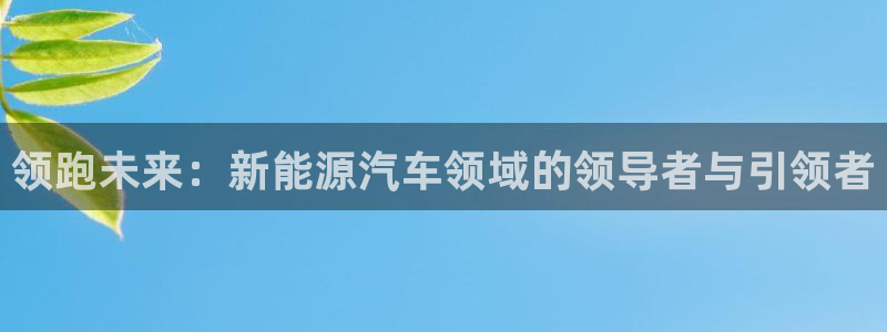 新宝gg官方下载