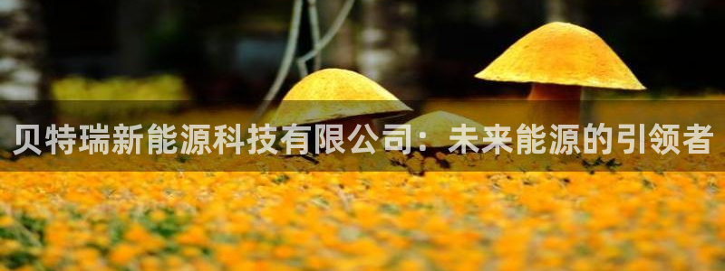 新宝六与新宝gg:贝特瑞新能源科技有限公司:未来能源的引领者