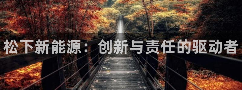 新宝gg娱乐上皇巢网