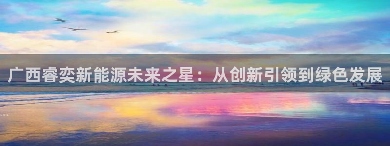 新宝gg-：广西睿奕新能源未来之星：从创