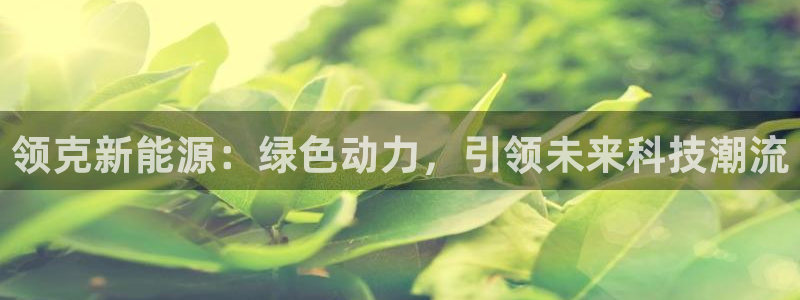 新宝GG娱乐下载:领克新能源:绿色动力,引领未来科技潮流