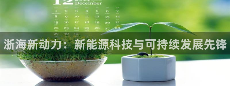 新宝gg娱乐客户端下载:浙海新动力:新能源科技与可持续发展先