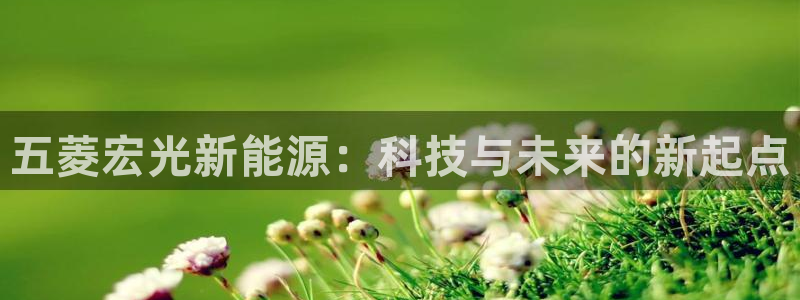 新宝平台gg:五菱宏光新能源:科技与未来的新起点