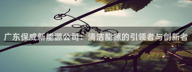 新宝gg注册cqdellar