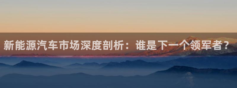新宝gg是什么:新能源汽车市场深度剖析:谁是下一个领军者?