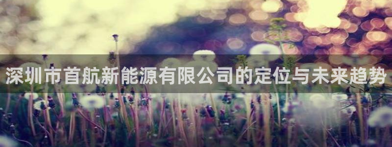 新宝GG创造奇:深圳市首航新能源有限公司的定位与未来趋势