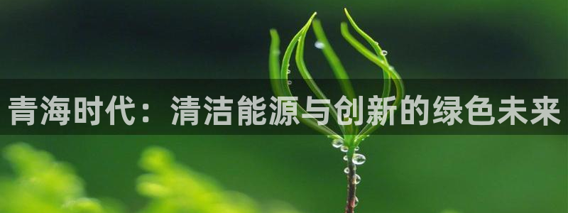 新宝gg娱乐vovq:青海时代:清洁能源与创新的绿色未来