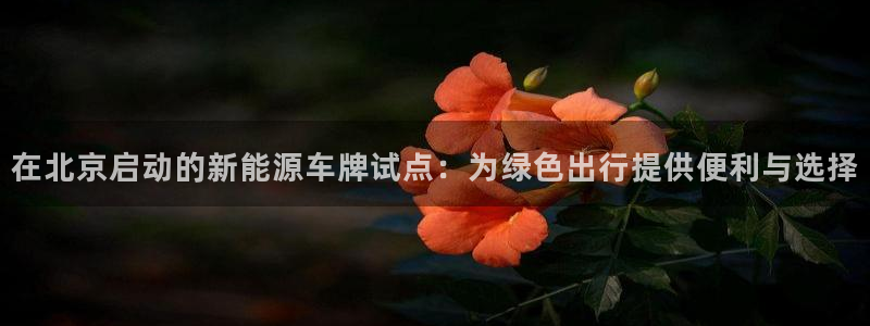 新宝GG于六七五一38:在北京启动的新能源车牌试点:为绿色出
