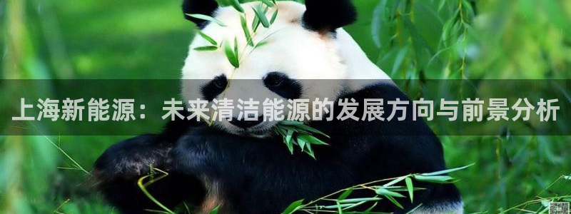 新宝皇冠gg:上海新能源:未来清洁能源的发展方向与前景分析