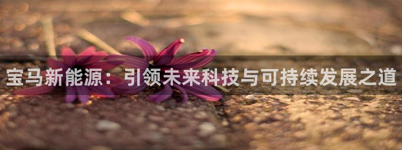 新宝GG链接:宝马新能源:引领未来科技与可持续发展之道