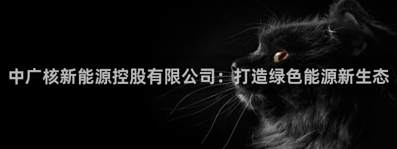 新宝gg一创造奇迹:中广核新能源控股有限公司:打造绿色能源新