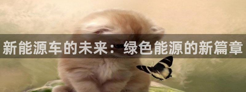 新宝gg娱乐注册-全芏网:新能源车的未来:绿色能源的新篇章