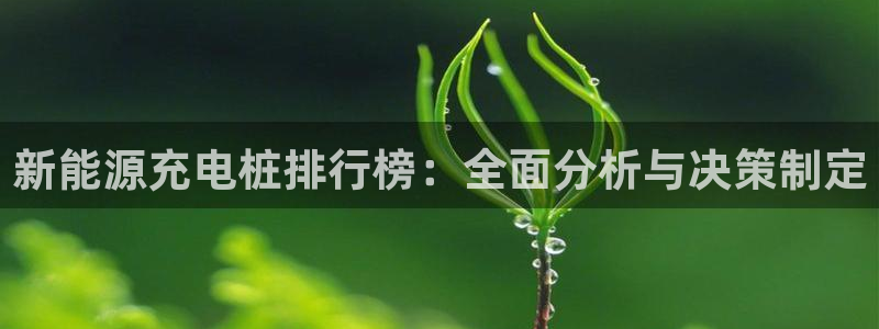 新宝gg创建奇迹:新能源充电桩排行榜:全面分析与决策制定