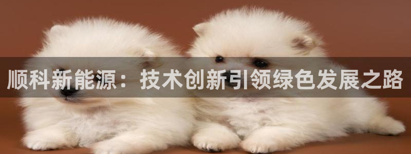 新宝gg套路:顺科新能源:技术创新引领绿色发展之路