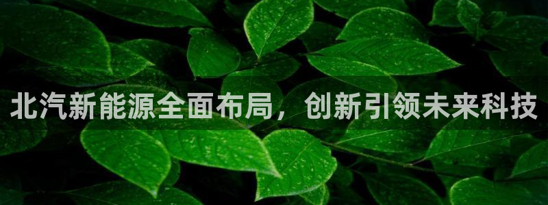 55新宝gg:北汽新能源全面布局,创新引领未来科技