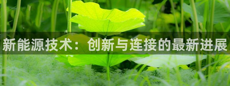 新宝gg — 创造!:新能源技术:创新与连接的最新进展