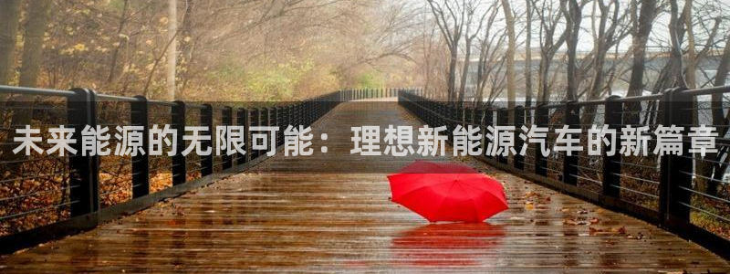 新宝gg注册:未来能源的无限可能:理想新能源汽车的新篇章