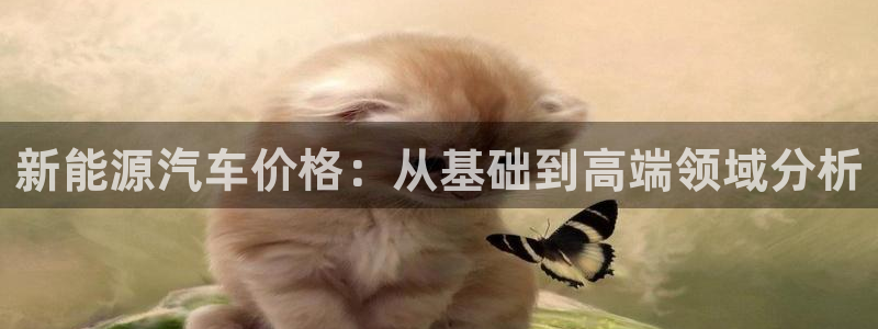 新宝娱gg:新能源汽车价格:从基础到高端领域分析