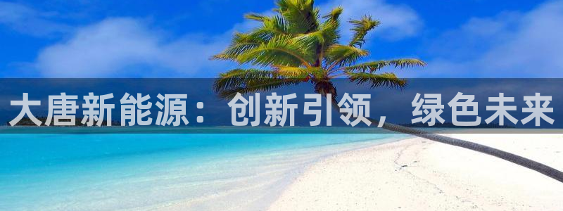 认准新宝gg:大唐新能源:创新引领,绿色未来