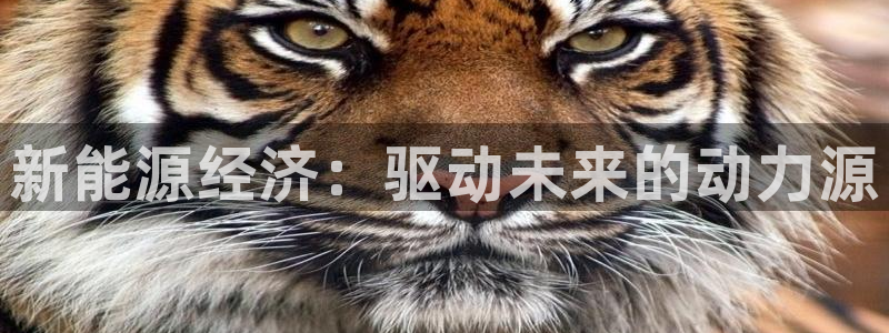 新宝gg如何注册登录:新能源经济:驱动未来的动力源