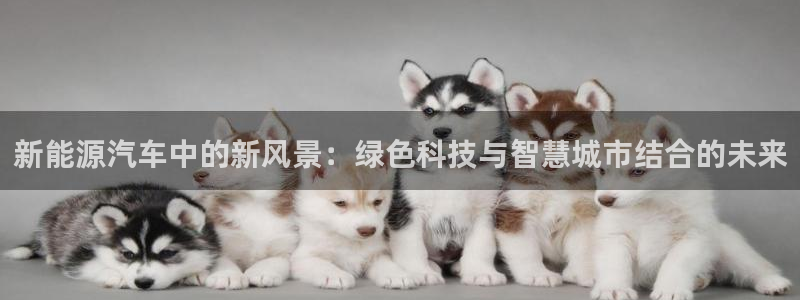 新宝gg咨询55312:新能源汽车中的新风景:绿色科技与智慧