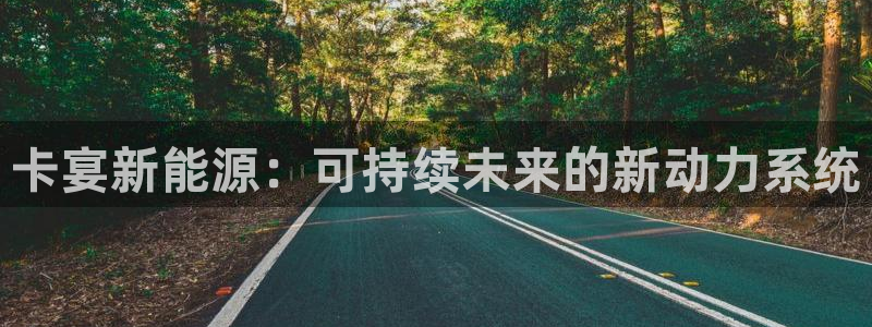 新宝gg和新宝5:卡宴新能源:可持续未来的新动力系统