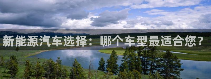 新宝gg软件下载:新能源汽车选择:哪个车型最适合您?