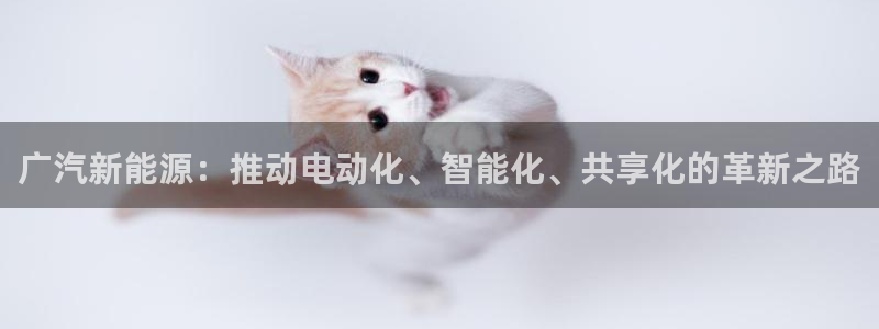 新宝gg登陆:广汽新能源:推动电动化、智能化、共享化的革新之