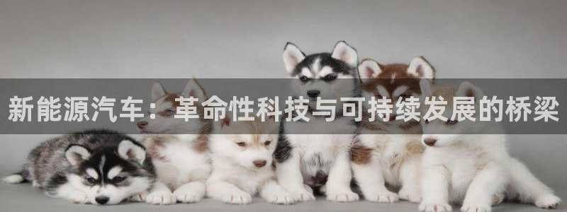 新宝gg登录页面