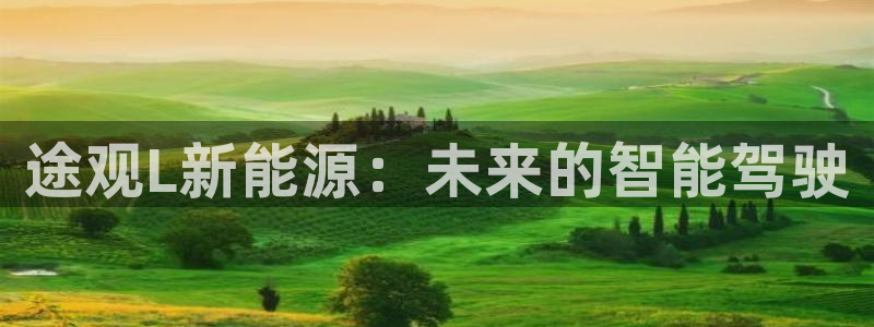 新宝gg网站：途观L新能源：未来的智能驾