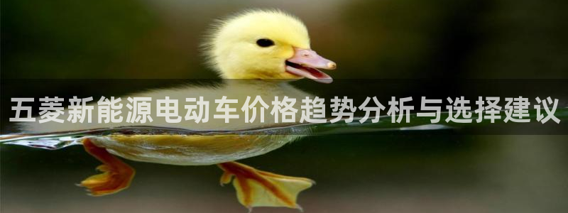 新宝gg如何代理：五菱新能源电动车价格趋