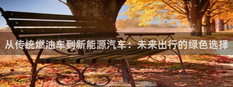 新浪新闻新宝gg：从传统燃油车到新能源汽