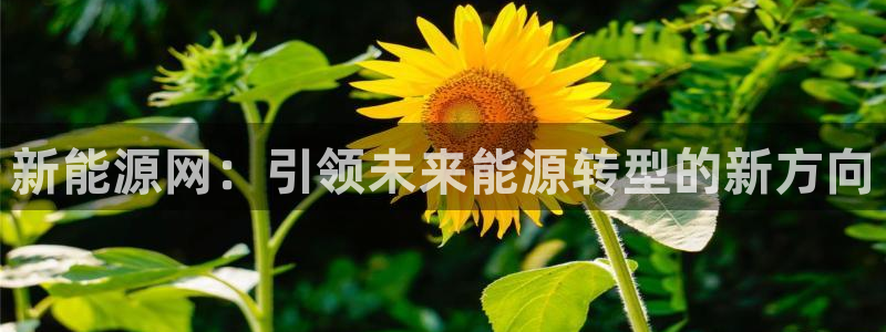 新宝gg娱乐官网：新能源网：引领未来能源