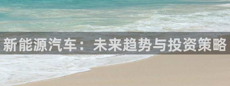 新宝gg游戏：新能源汽车：未来趋势与投资