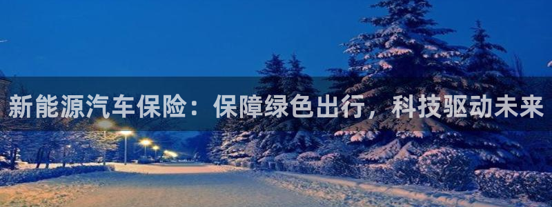 新宝gg新宝5：新能源汽车保险：保障绿色