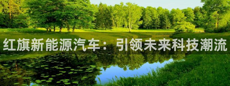 新宝gg网点：红旗新能源汽车：引领未来科