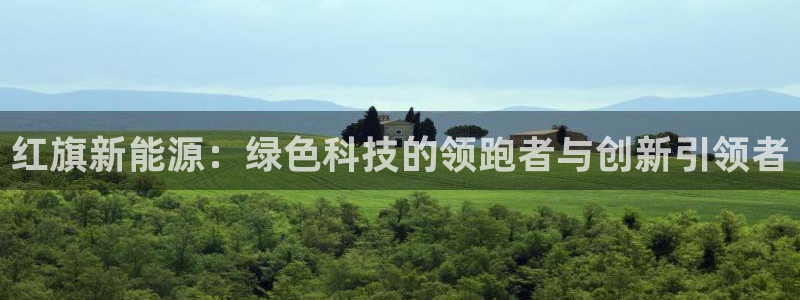 新宝GG管理：红旗新能源：绿色科技的领跑