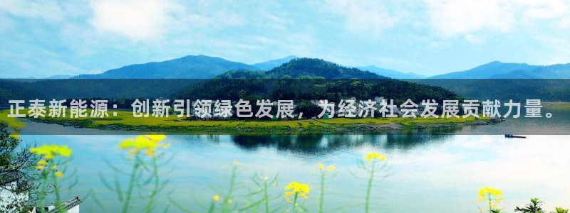 新宝 gg 下载：正泰新能源：创新引领绿