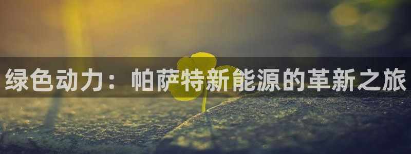 新宝gg招商：绿色动力：帕萨特新能源的革