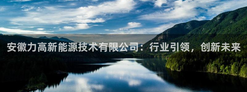 新宝gg娱乐注册-全芏网：安徽力高新能源