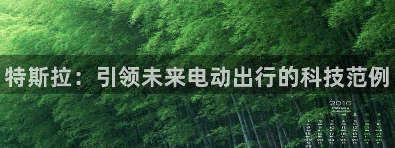 新宝gg官方主管：特斯拉：引领未来电动出