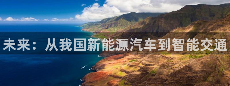 新宝gg真的能赚钱么：未来：从我国新能源