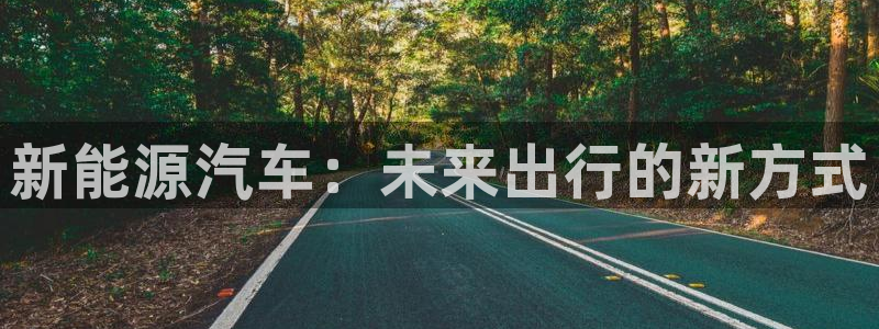 新宝GG创造奇：新能源汽车：未来出行的新