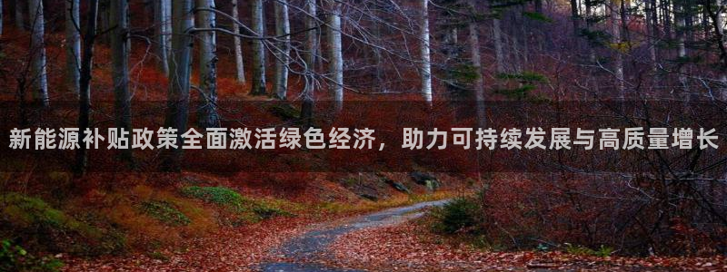 新宝gg好吗：新能源补贴政策全面激活绿色